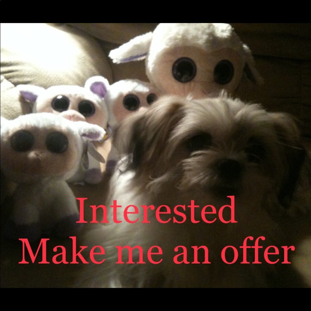 Make me an offer